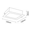 TOTTORI IL W – 10x10 cm – 3K – fekete – IP